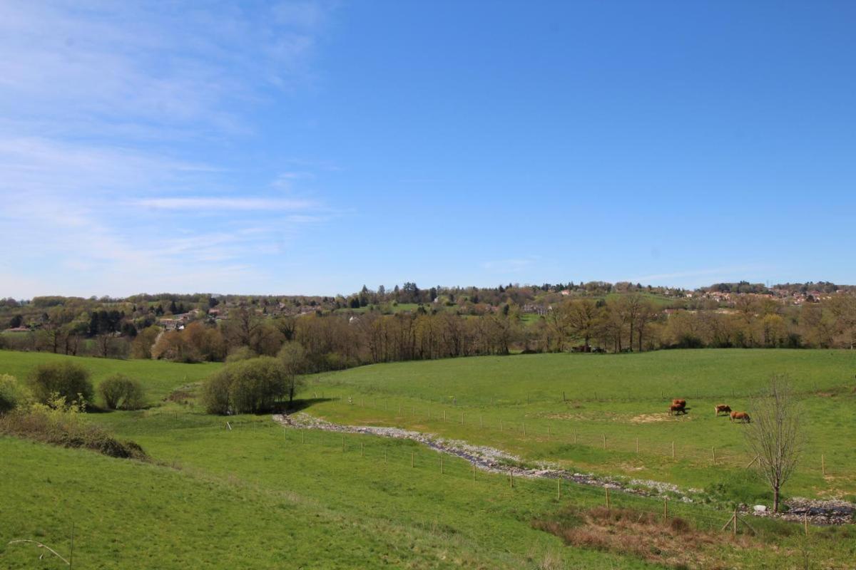 Vila Chez Le Bayle Condat-sur-Vienne Exteriér fotografie